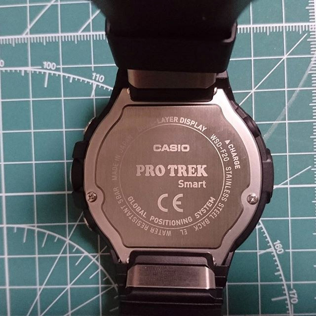 Casio Pro Trek WSD-F20-RG