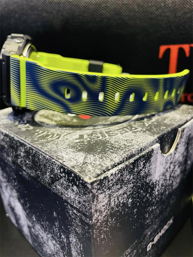 G-SHOCK DW-5900TD-9E