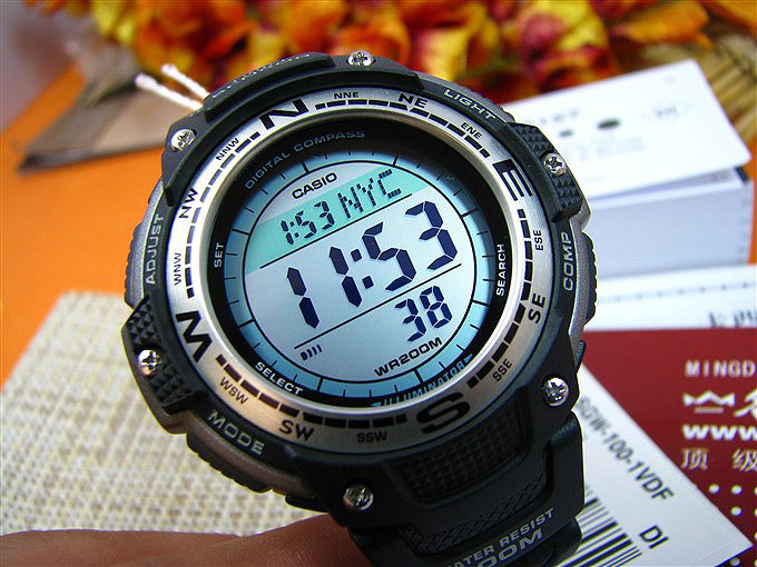 Casio Pro Trek SGW-100-1V