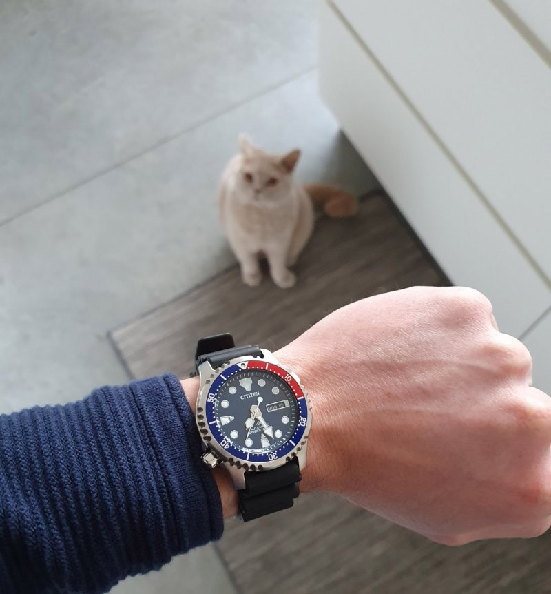 Citizen NY0086-16LE