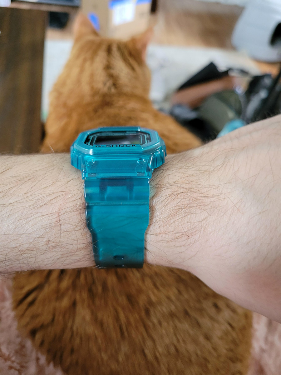 G-SHOCK DW-B5600G-2E