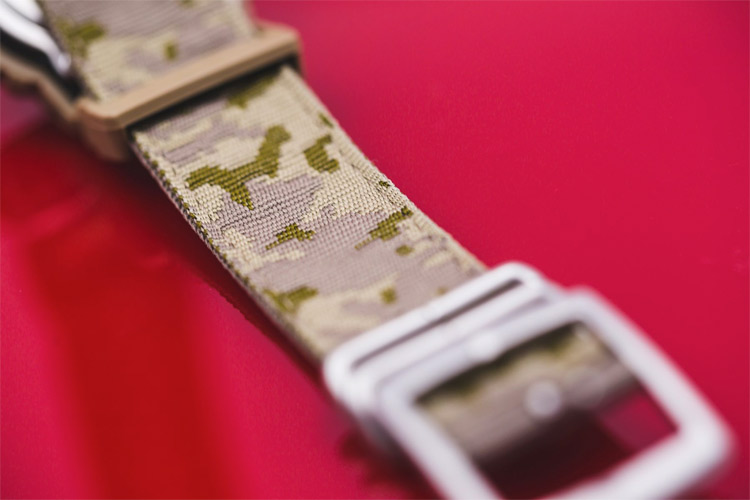 G-SHOCK DW-5600LU-8E