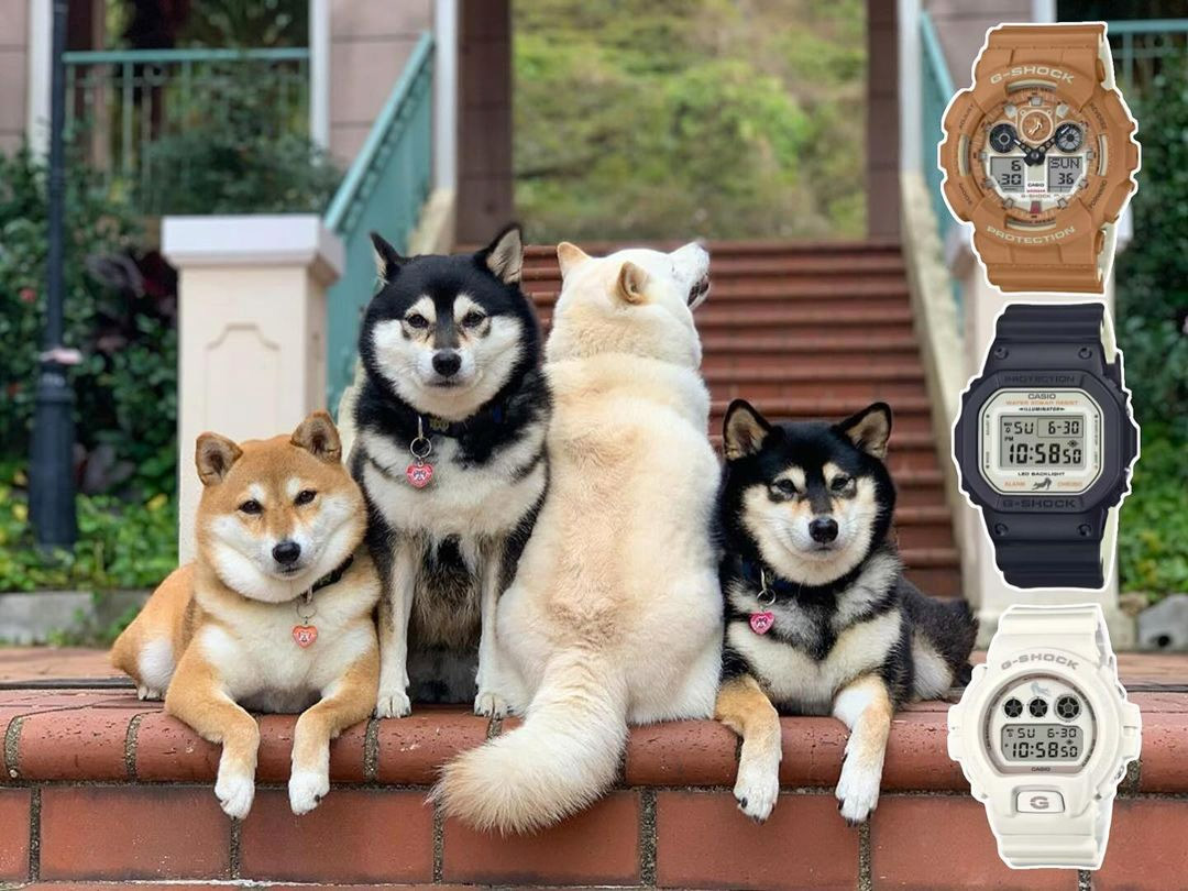 G-SHOCK DW-5600SHB-1E