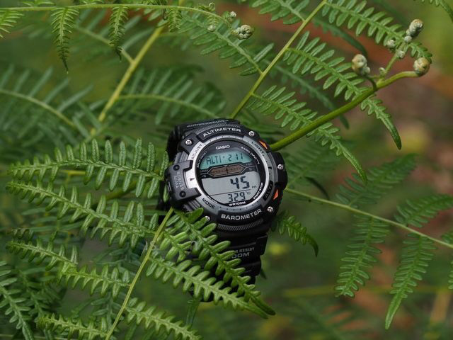 Casio Pro Trek SGW-300H-1A