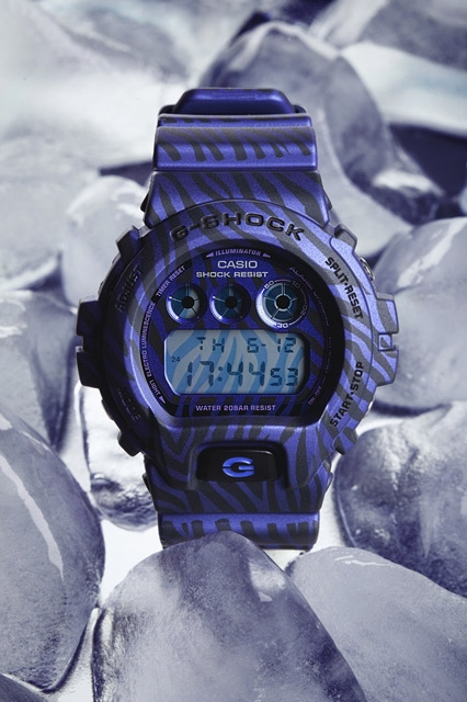 G-SHOCK DW-6900ZB-2E