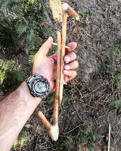 Casio Pro Trek PRW-3500T-7E