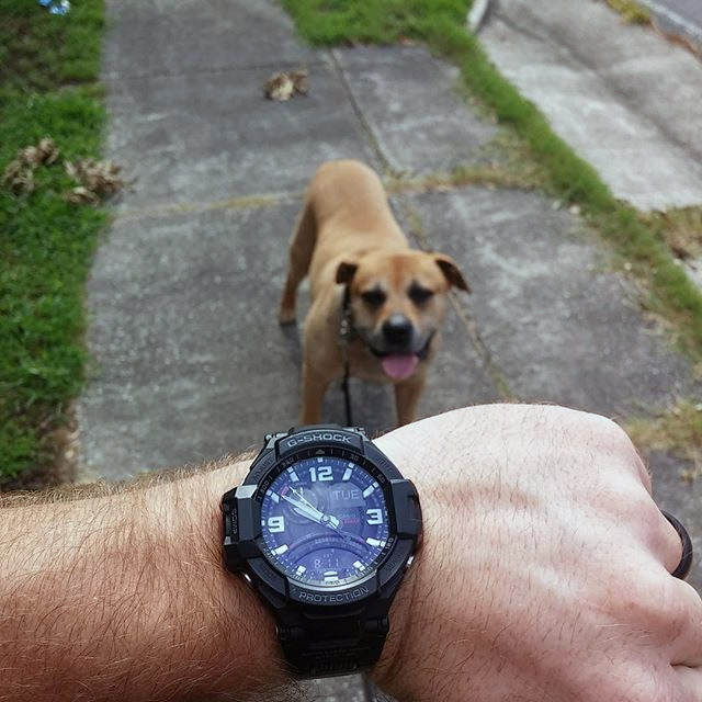 G-SHOCK GA-1000FC-1A