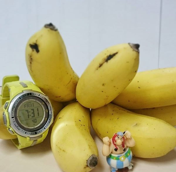 Casio Pro Trek PRW-3000-9B