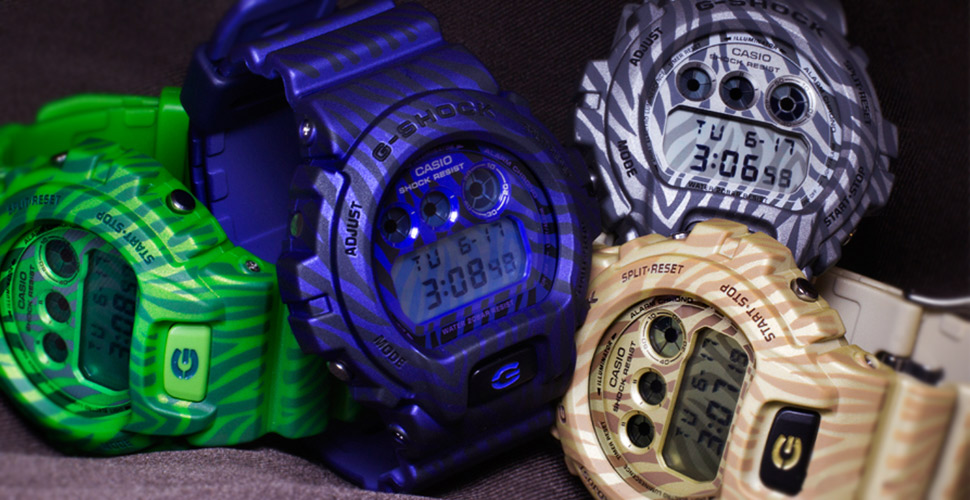 G-SHOCK DW-6900ZB-2E