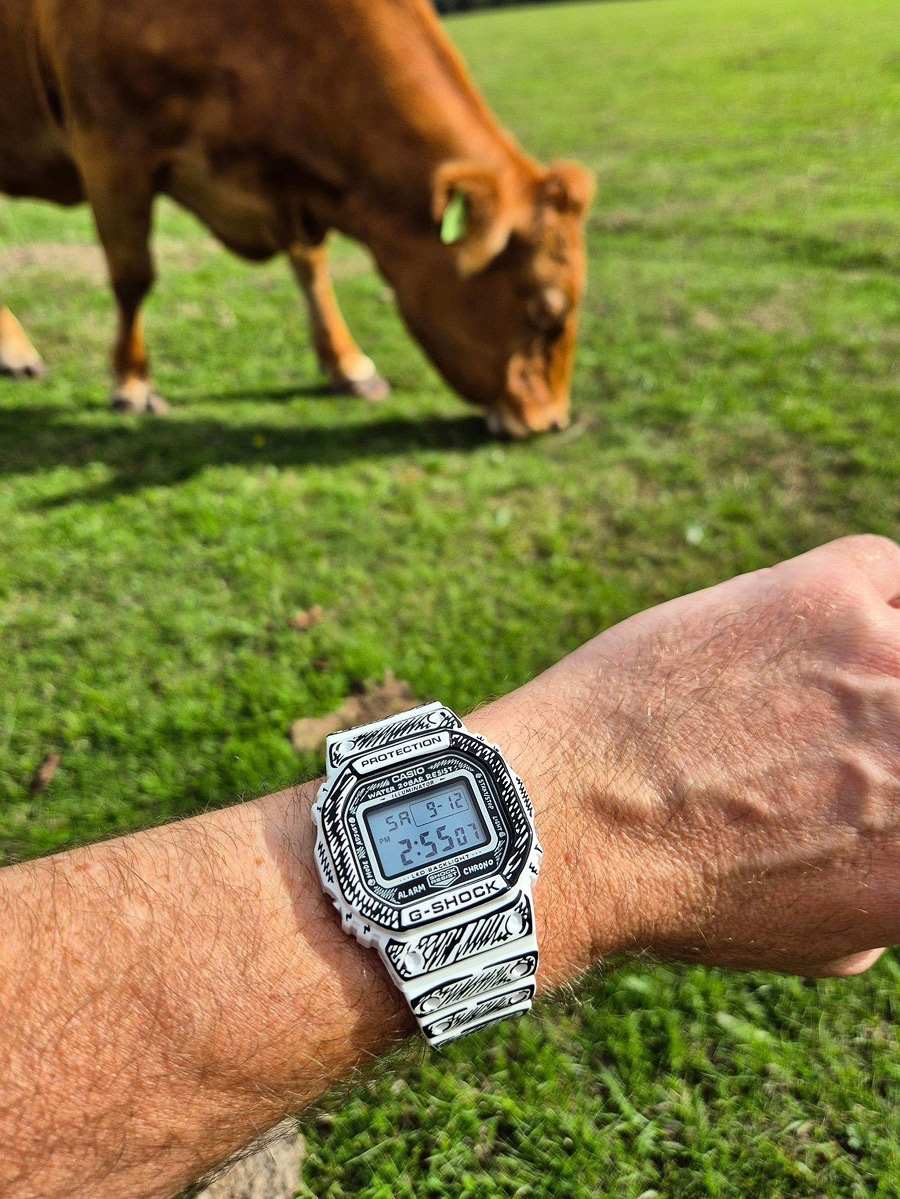 G-SHOCK DW-5600JV-7E