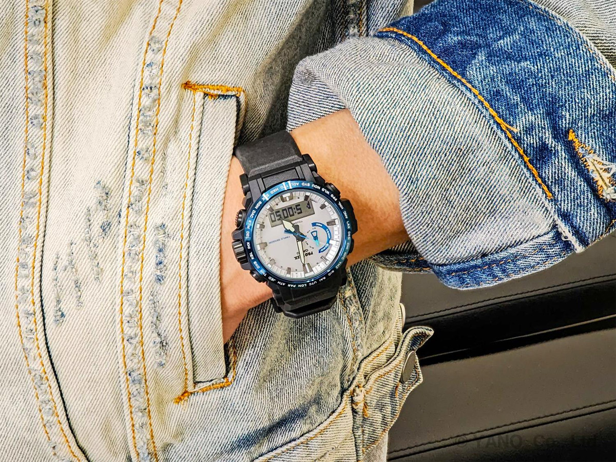 Casio Pro Trek PRW-61D-2E