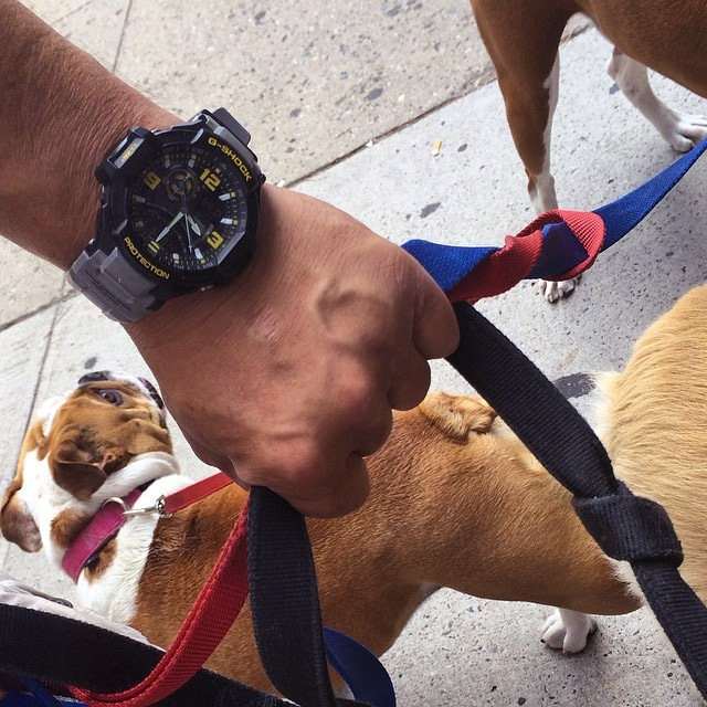 G-SHOCK GA-1000-8A