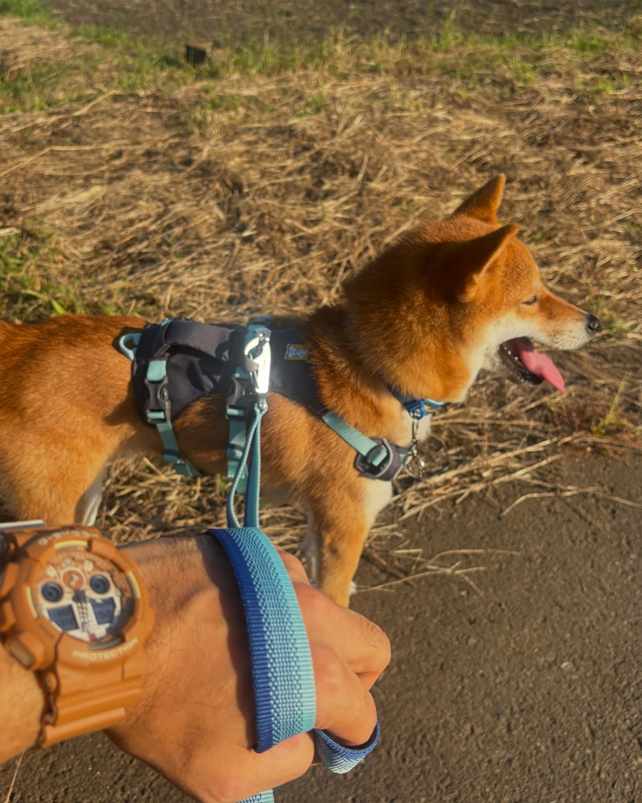 G-SHOCK GA-100SHB-5A