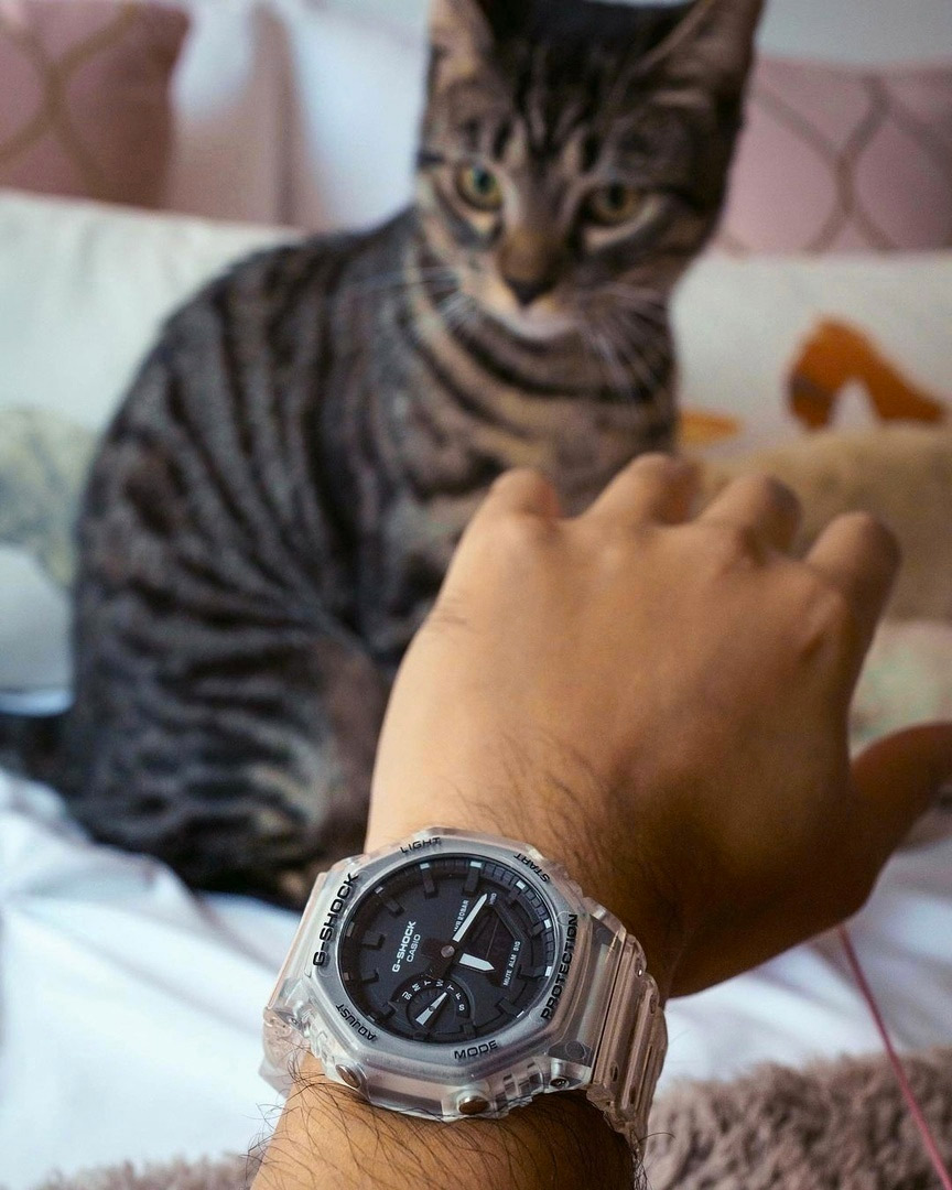 G-SHOCK GA-2100SKE-7A