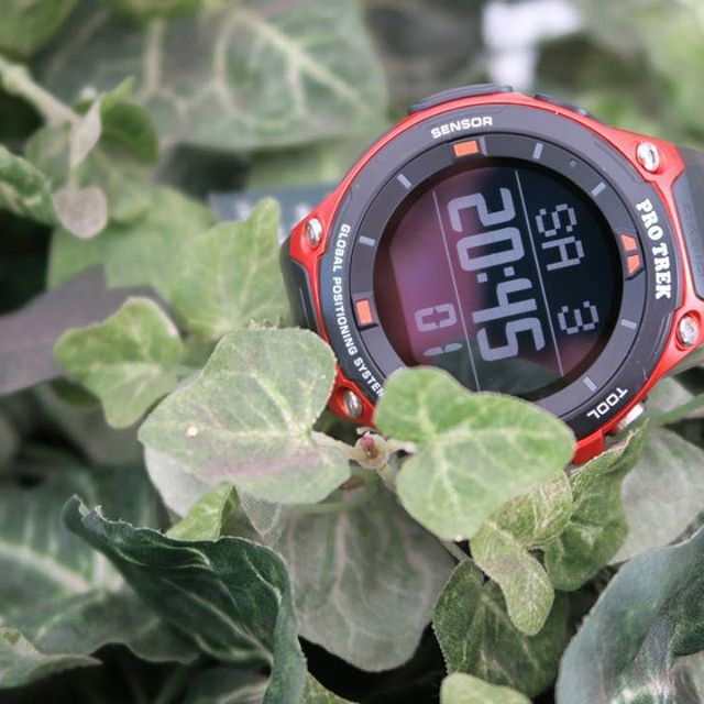 Casio Pro Trek WSD-F20-RG