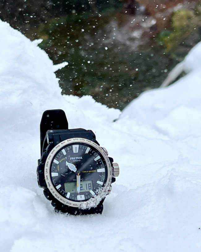 Casio Pro Trek PRW-61-1A