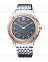 CITIZEN AR5004-59H