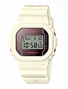 DW-5600PGW-7E