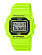Casio DW-5600EP-9E