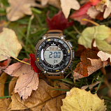 Casio Pro Trek PRG-340L-5E