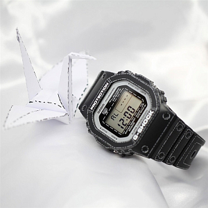 DW-5600RGM-1E