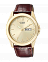 CITIZEN BF0582-01PE