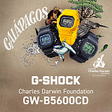 G-SHOCK GW-B5600CD-9E