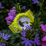 G-SHOCK GMA-B800-9A