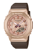 GM-S2100CB-5A