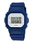 Casio DW-5600M-2E