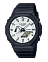 GA-2100WD-1A