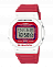Casio DW-5600TB-4A