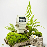 G-SHOCK G-5600BG-5E