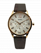 Часы FSW02002W0