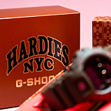G-SHOCK DW-6900HH-5E