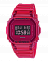 Casio DW-5600SB-4E
