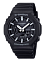 Casio GA-2100-1A