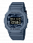 Casio DW-5600CA-2E