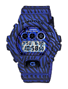 Часы G-SHOCK DW-6900ZB-2E