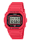 Casio DW-5600EP-4E