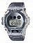 Casio DW-6900SK-1E