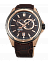 Orient FET0V001T0