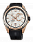 Orient FET0V002W0