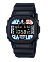 Casio DW-5600RF24-1E