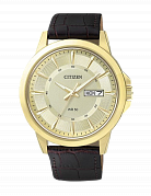 Часы BF2013-05PE