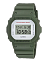 Casio DW-5600M-3E