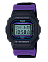 Casio DW-5600THS-1E