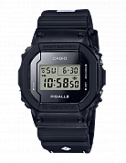 DW-5600PGB-1E