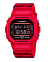 Casio DW-5600JAH24-4E