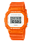 Casio DW-5600WS-4E